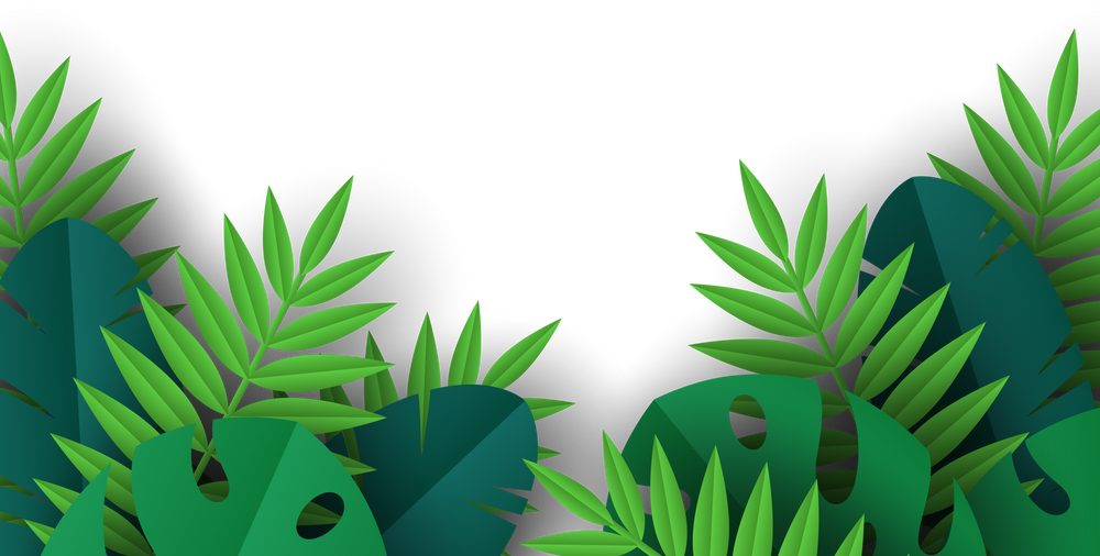 Exotic Jungle Tropical Palm Leaves.