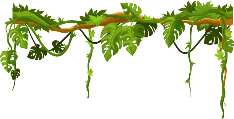 Exotic liana vines on branch plant jungle forest